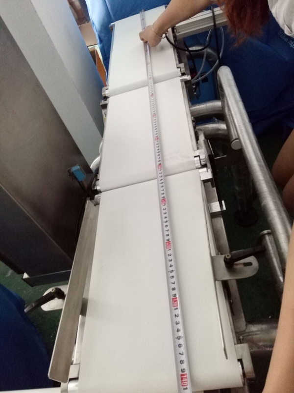 High Precision Dynamic Weighing Conveyor Belt Scale Check Weigher Product Line Conveyor Machine
