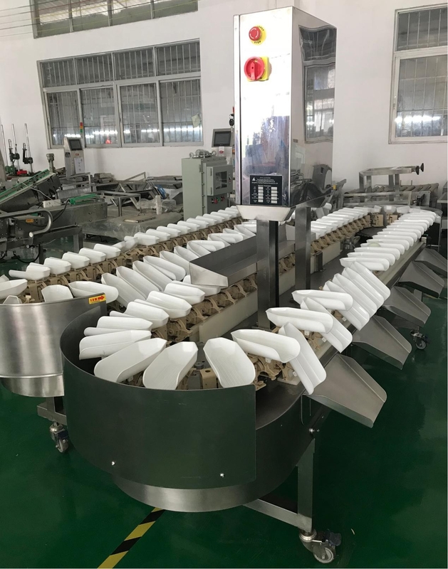 SGS Conveyor Weight Checker /  Waterproof High Throughput Multi -  Grade Weight Sorting Machine