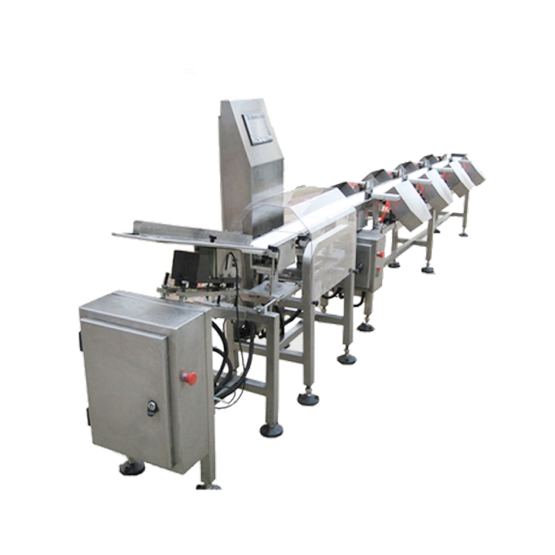Multi Weight Sorting Zones Conveyor Check Weigher IP67 Waterproof
